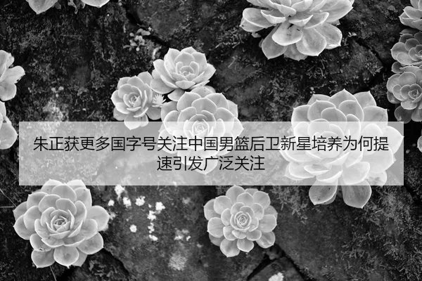 朱正获更多国字号关注中国男篮后卫新星培养为何提速引发广泛关注