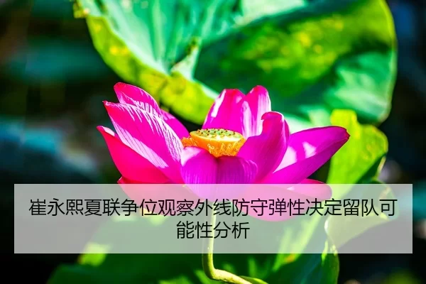 崔永熙夏联争位观察外线防守弹性决定留队可能性分析