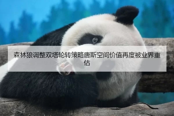 森林狼调整双塔轮转策略唐斯空间价值再度被业界重估