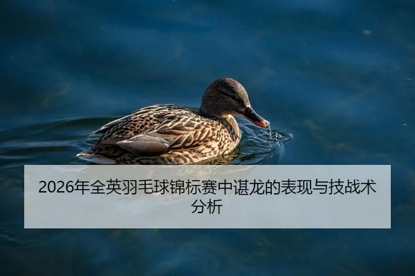 nian-quan-ying-yu-mao-qiu-jin-biao-sai-zhong-chen-long-de-biao-xian-yu-ji-zhan-shu-fen-xi-2-221.jpg