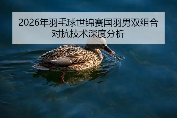 2026年羽毛球世锦赛国羽男双组合对抗技术深度分析