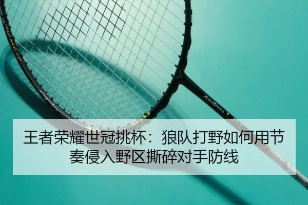 wang-zhe-rong-yao-shi-guan-tiao-bei-lang-dui-da-ye-ru-he-yong-jie-zou-qin-ru-ye-qu-si-sui-dui-shou-fang-xian-3-482.jpg